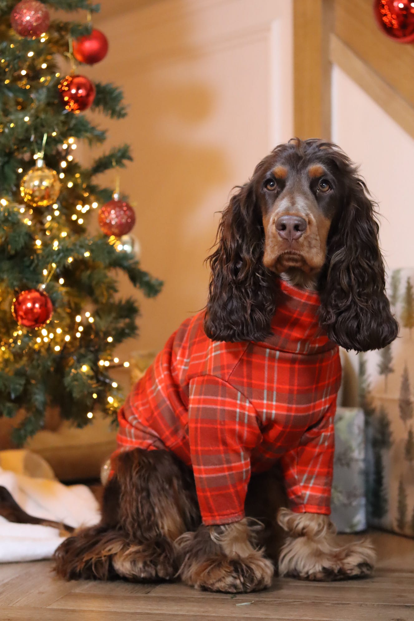 Hugo and Ted Christmas Tartan Fleece Snuggle Jumpers - Hugo and Ted