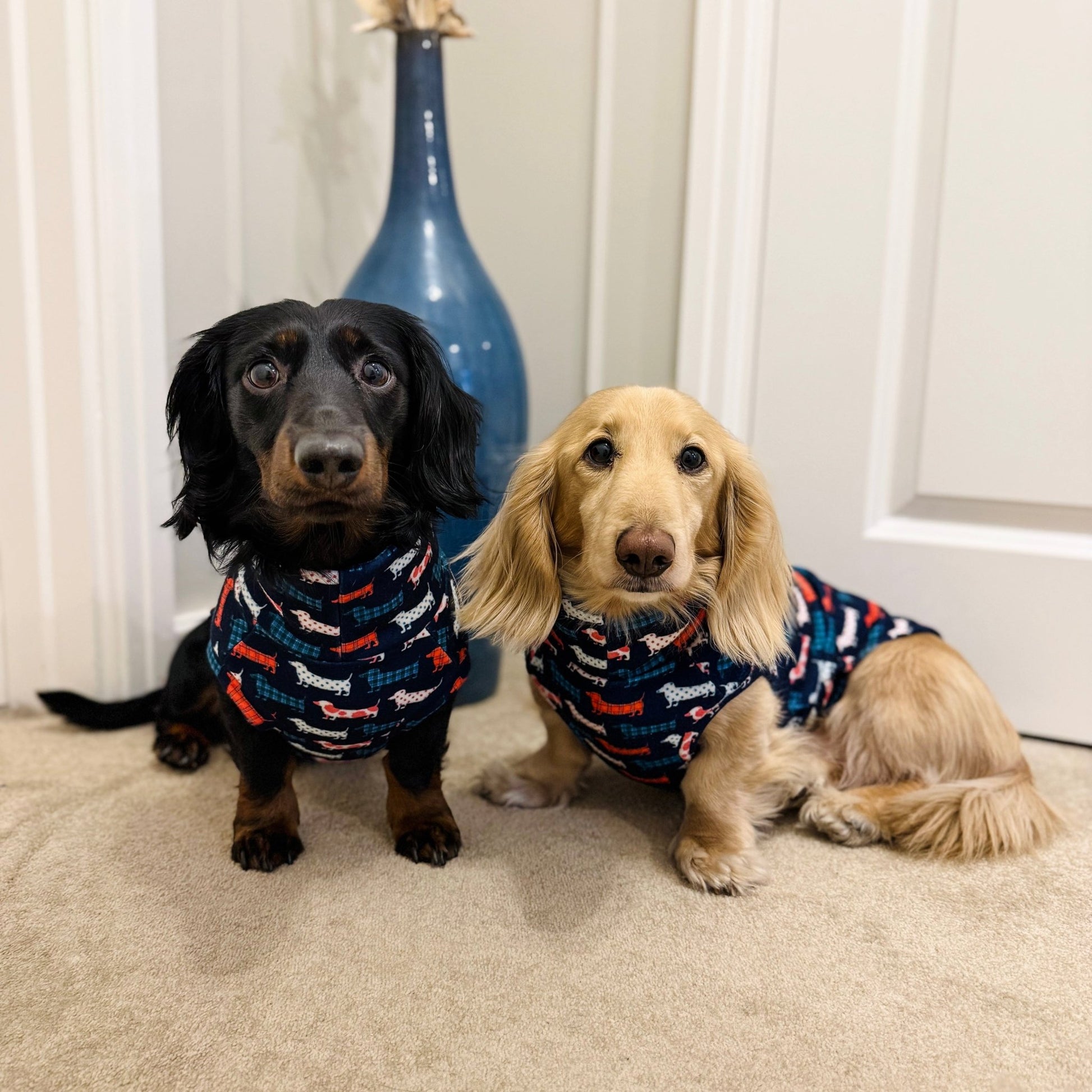 Hugo and Ted Collection Classic Fleece Snuggle Jumpers - Hugo and Ted