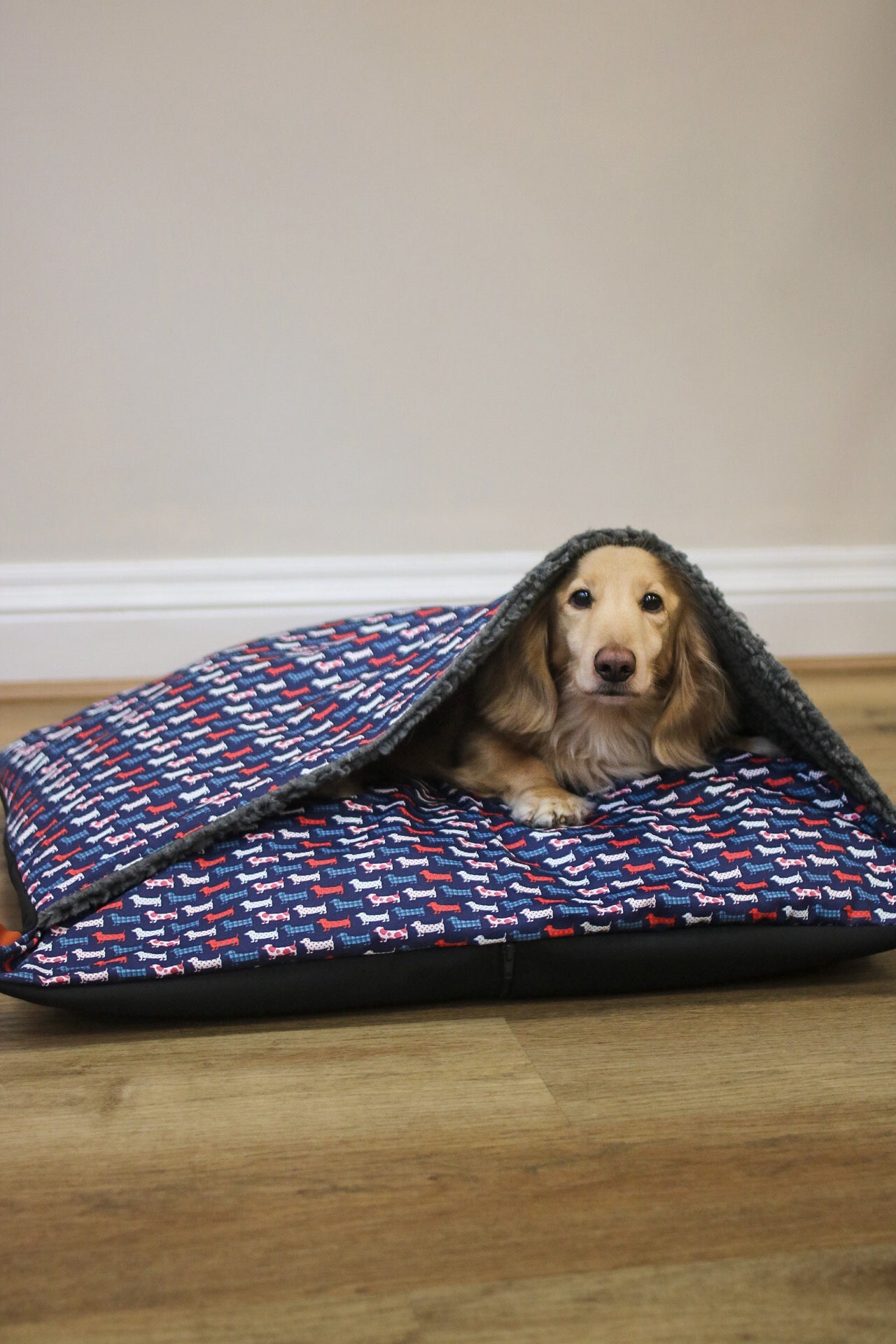 Hugo and Ted Collection Design - a - Den - Hugo and Ted