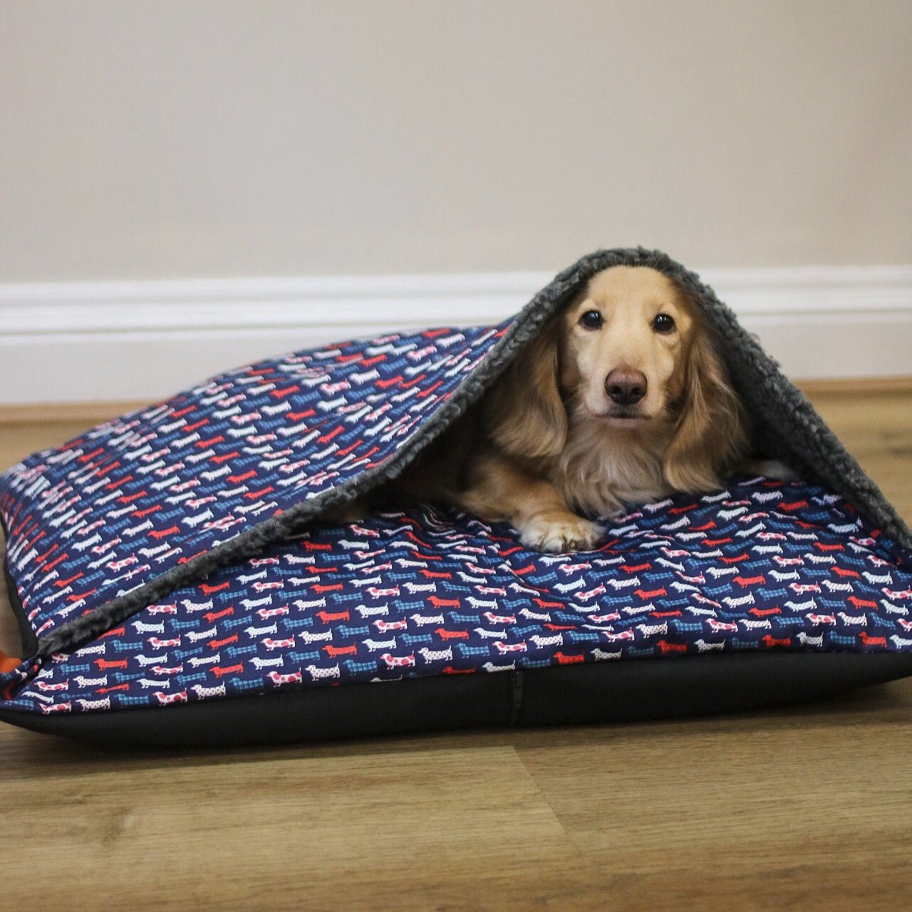 Hugo and Ted Collection Design - a - Den - Hugo and Ted