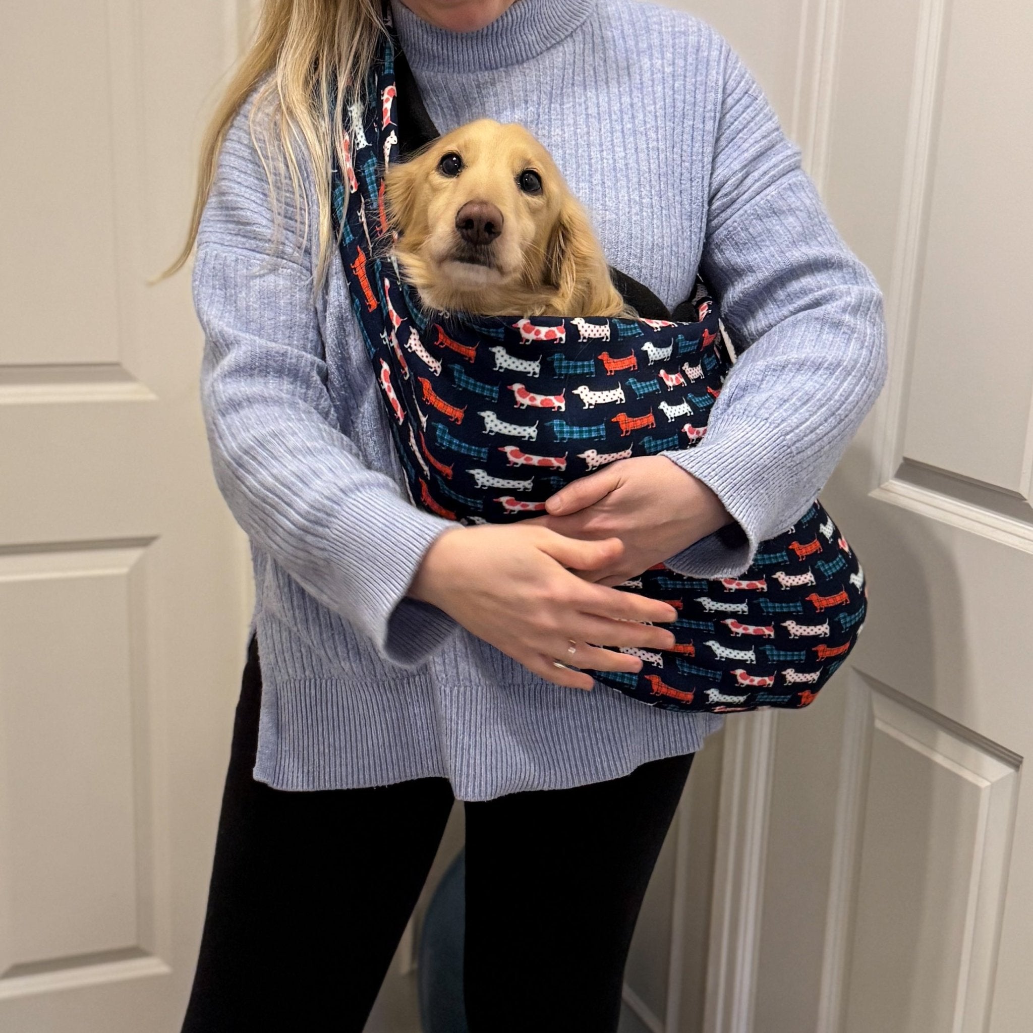 Ted Riding Dog LUXURY DOG AND PET CARRIERS AND SLINGS – Hugo and Ted
