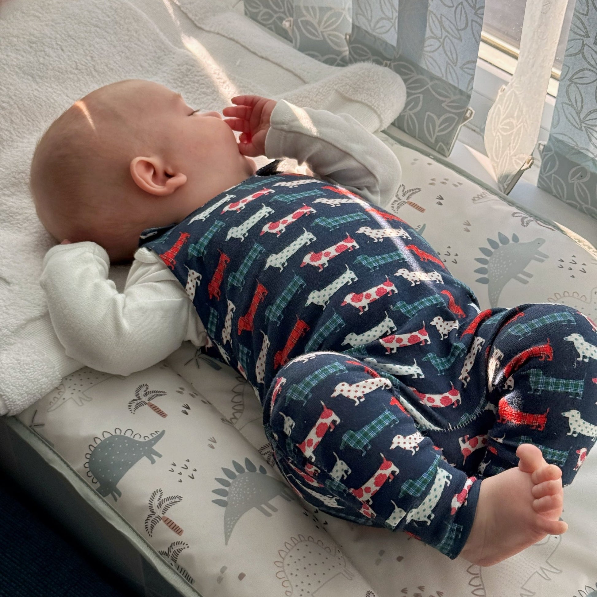 Hugo and Ted Print Mini Dungarees - Hugo and Ted