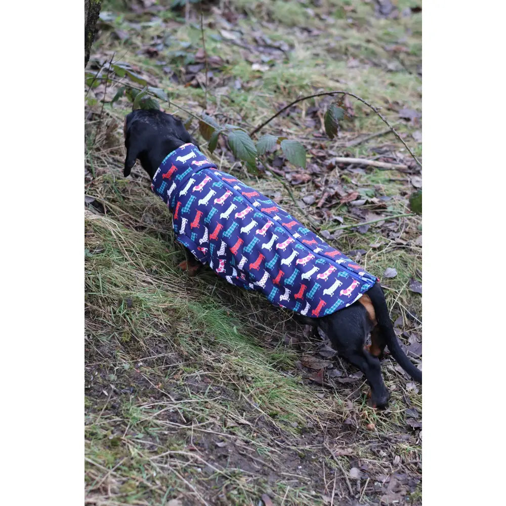 Hugo and Ted Print Waterproof Rainfleece Dog Coats – Made to Measure - Hugo and Ted