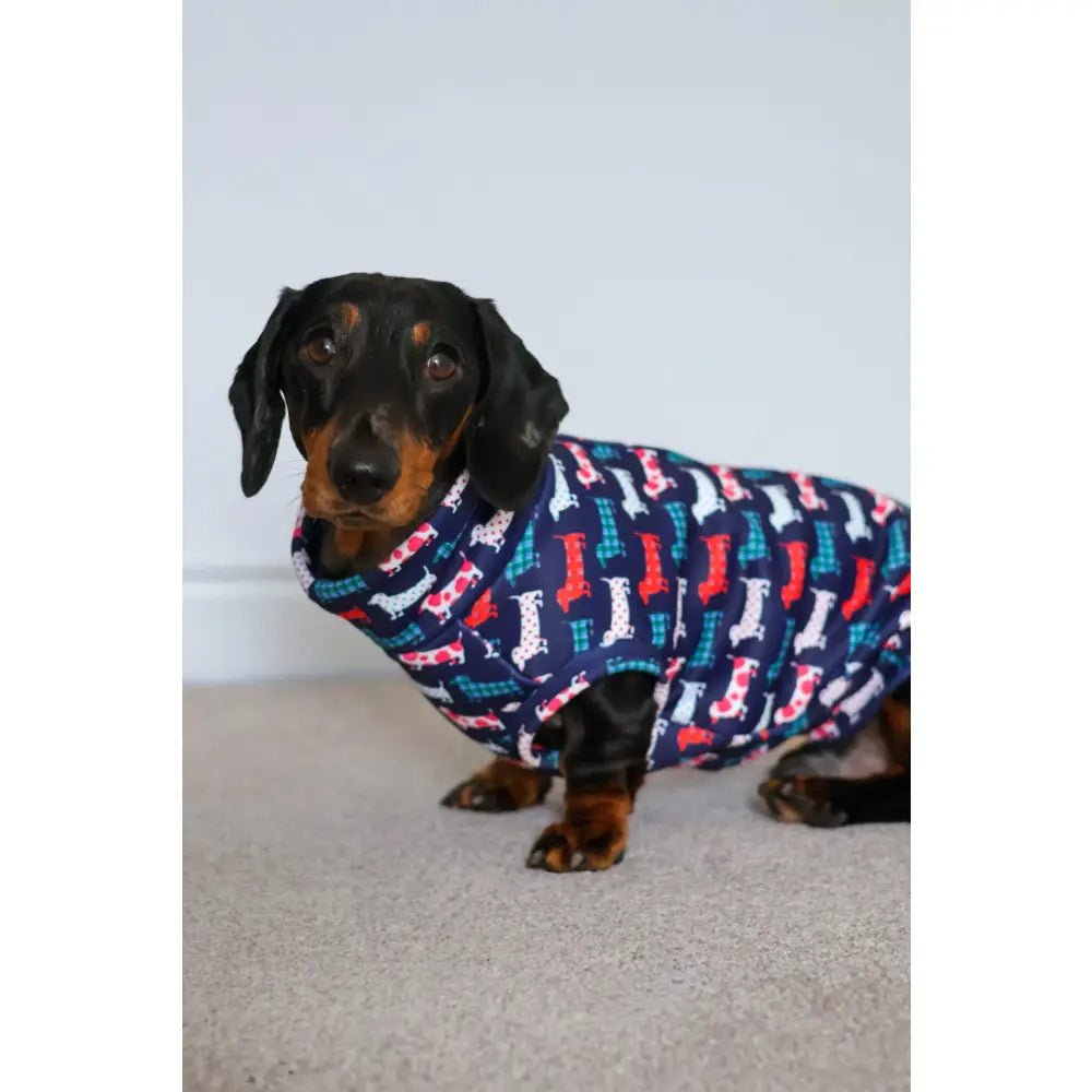 Hugo and Ted Print Rainfleece Dog Coat - Made to Measure - Hugo and Ted