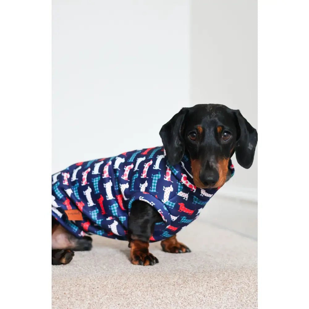 Hugo and Ted Print Rainfleece Dog Coat - Made to Measure - Hugo and Ted