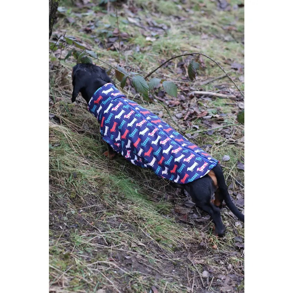 Hugo and Ted Print Rainfleece Dog Coat - Made to Measure - Hugo and Ted