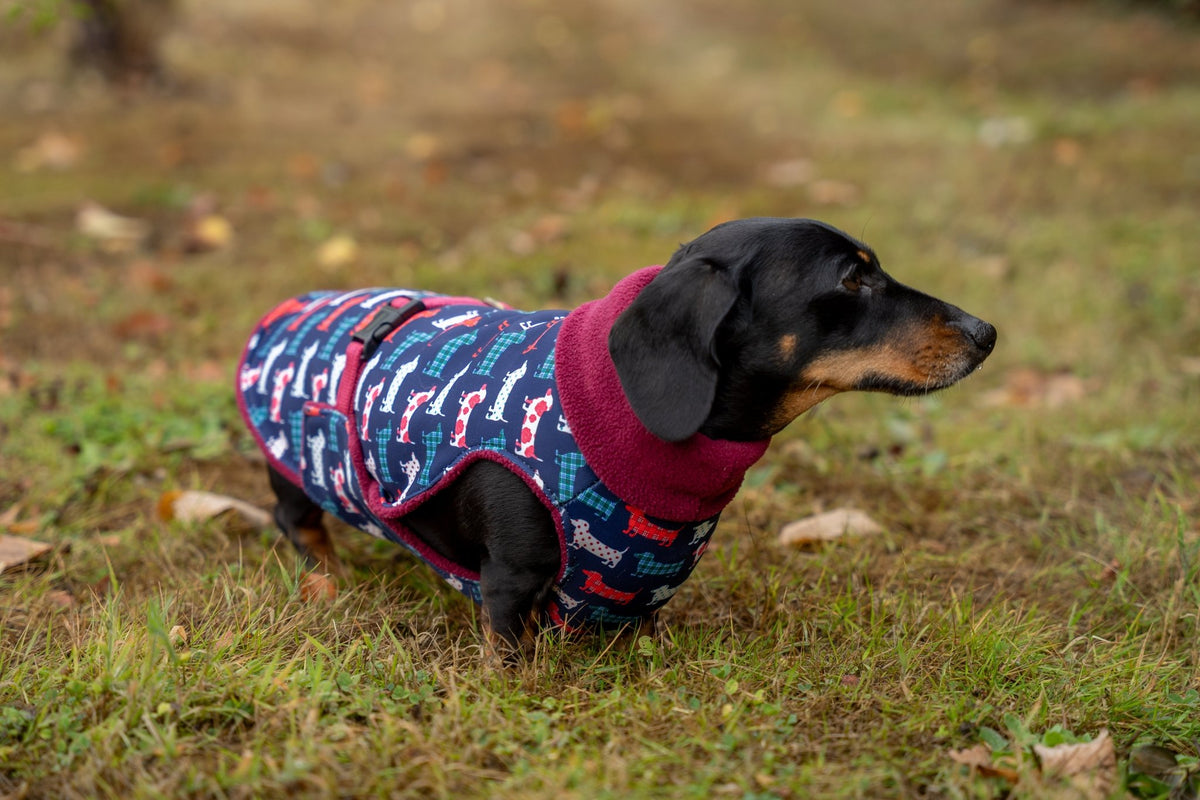 Hugo and Ted Print Ultimate Walkies Waterproof Dog Coat - Made to Measure - Hugo and Ted