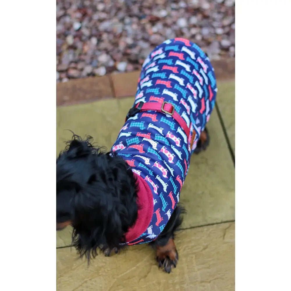 Hugo and Ted Print Ultimate Walkies Waterproof Dog Coat - Made to Measure - Hugo and Ted