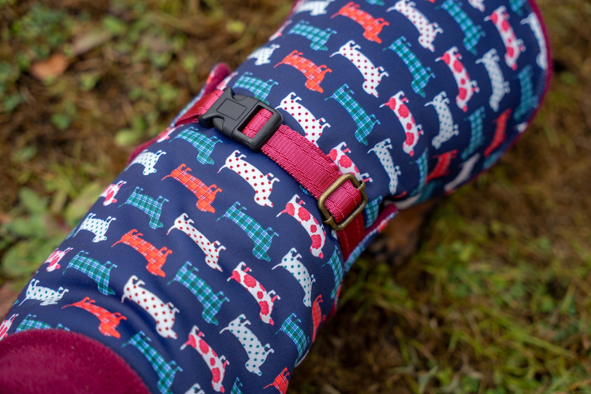 Hugo and Ted Print Ultimate Walkies Waterproof Dog Coat - Made to Measure - Hugo and Ted