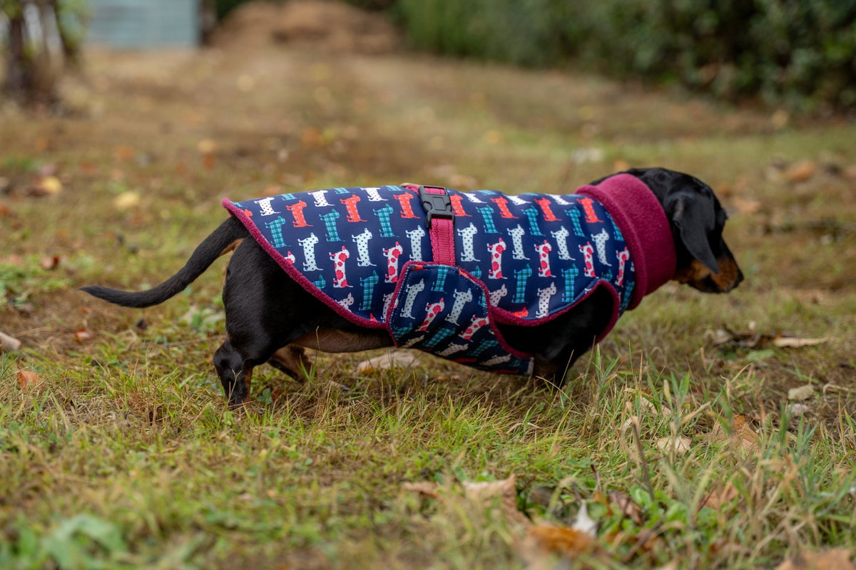 Hugo and Ted Print Ultimate Walkies Waterproof Dog Coat - Made to Measure - Hugo and Ted