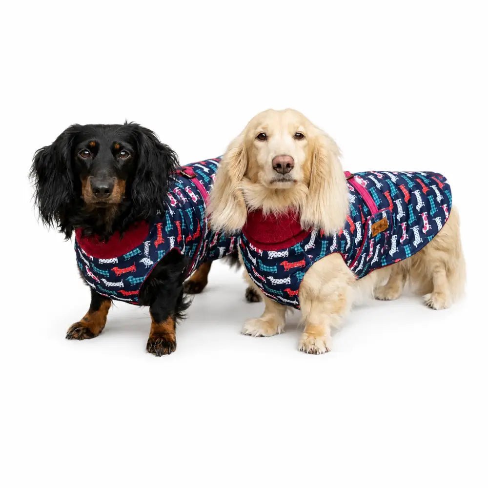 Hugo and Ted Print Ultimate Walkies Waterproof Dog Coat - Made to Measure - Hugo and Ted