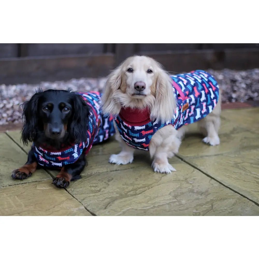 Hugo and Ted Print Ultimate Walkies Waterproof Dog Coat - Made to Measure - Hugo and Ted