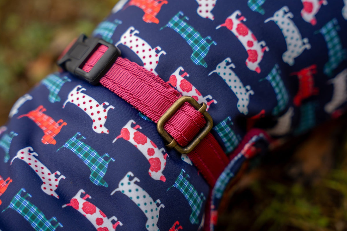 Hugo and Ted Print Ultimate Walkies Waterproof Dog Coat - Made to Measure - Hugo and Ted