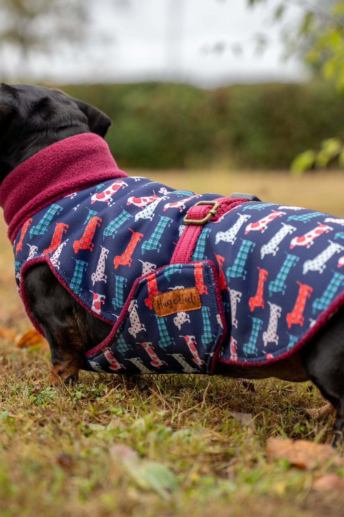 Hugo and Ted Print Ultimate Walkies Waterproof Dog Coat - Made to Measure - Hugo and Ted
