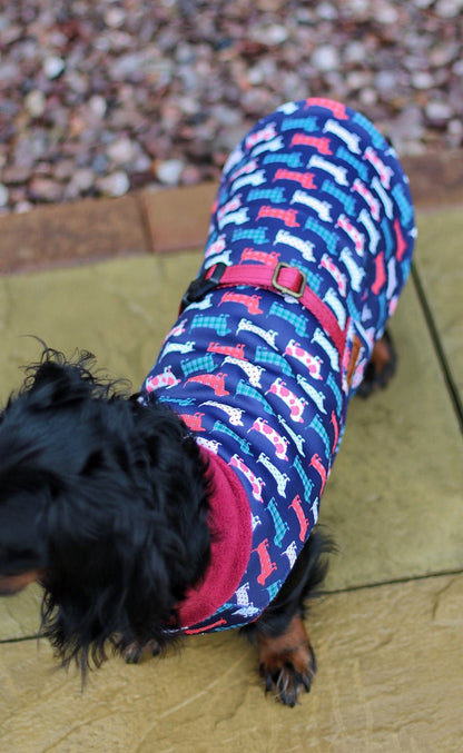 Hugo and Ted Print Ultimate Walkies Waterproof Dog Coats - Made to Measure - Hugo and Ted