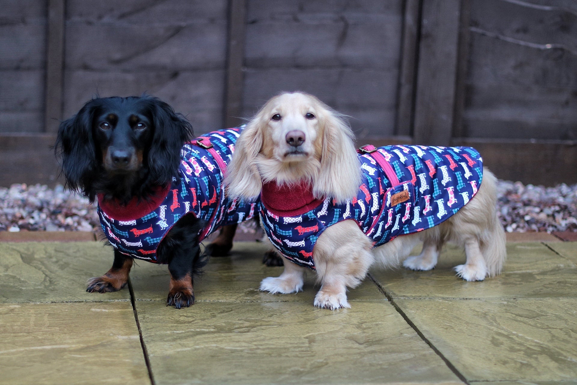 Hugo and Ted Print Ultimate Walkies Waterproof Dog Coats - Made to Measure - Hugo and Ted