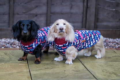 Hugo and Ted Print Ultimate Walkies Waterproof Dog Coats - Made to Measure - Hugo and Ted