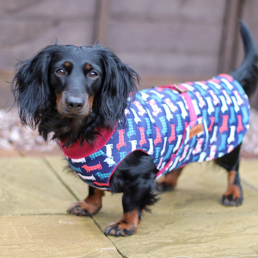 Hugo and Ted Print Ultimate Walkies Waterproof Dog Coats - Made to Measure - Hugo and Ted