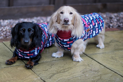 Hugo and Ted Print Ultimate Walkies Waterproof Dog Coats - Made to Measure - Hugo and Ted