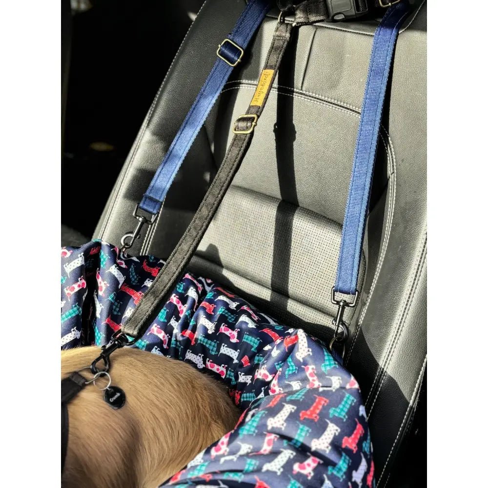 Hugo and Ted Print Waterproof Car Bed - 3 Sizes - Hugo and Ted