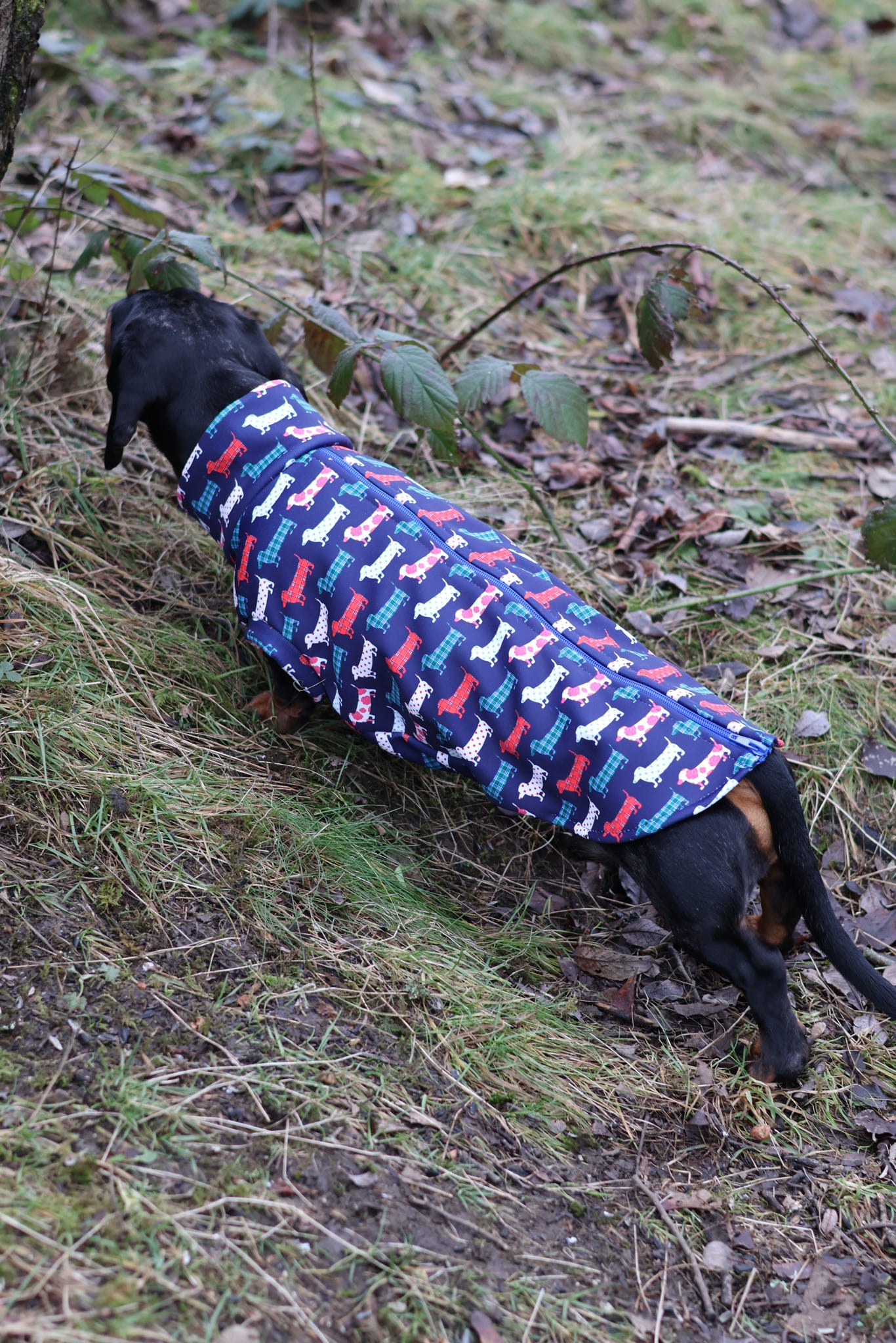 Hugo and Ted Print Waterproof Rainfleece Dog Coats – Made to Measure - Hugo and Ted