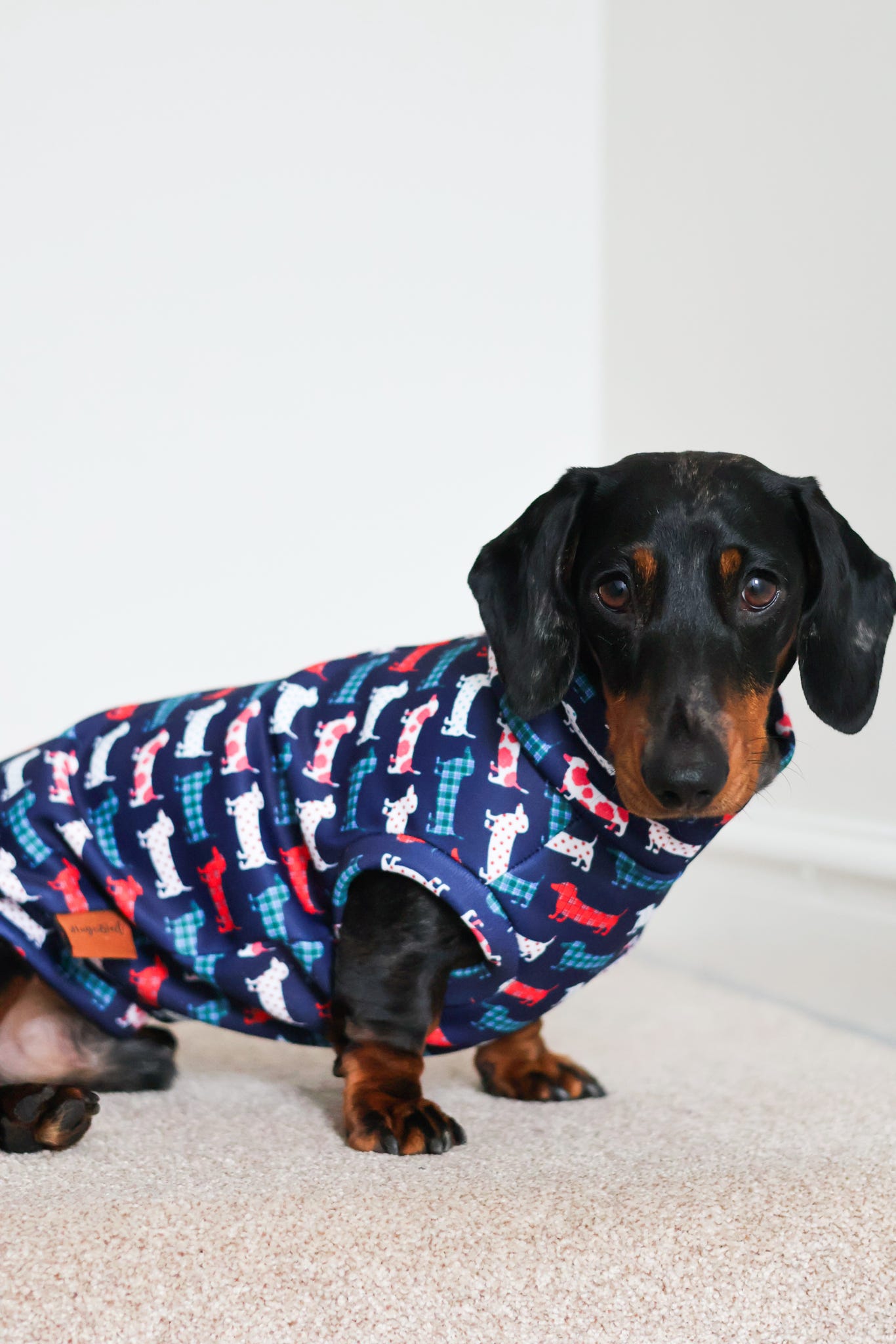 Hugo and Ted Print Waterproof Rainfleece Dog Coats – Made to Measure - Hugo and Ted