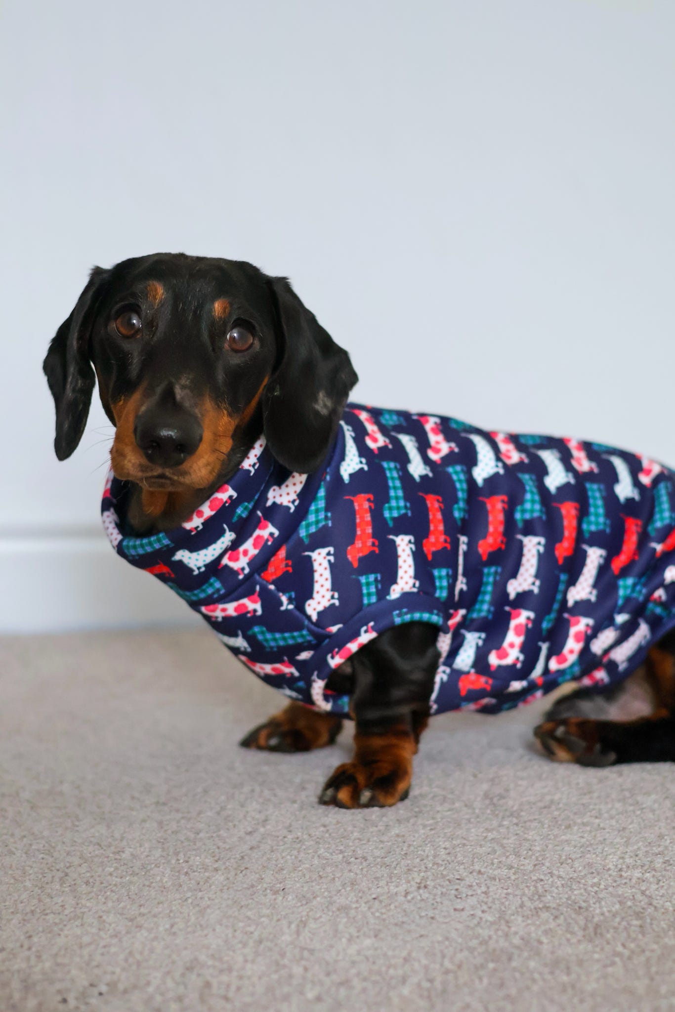 Hugo and Ted Print Waterproof Rainfleece Dog Coats – Made to Measure - Hugo and Ted