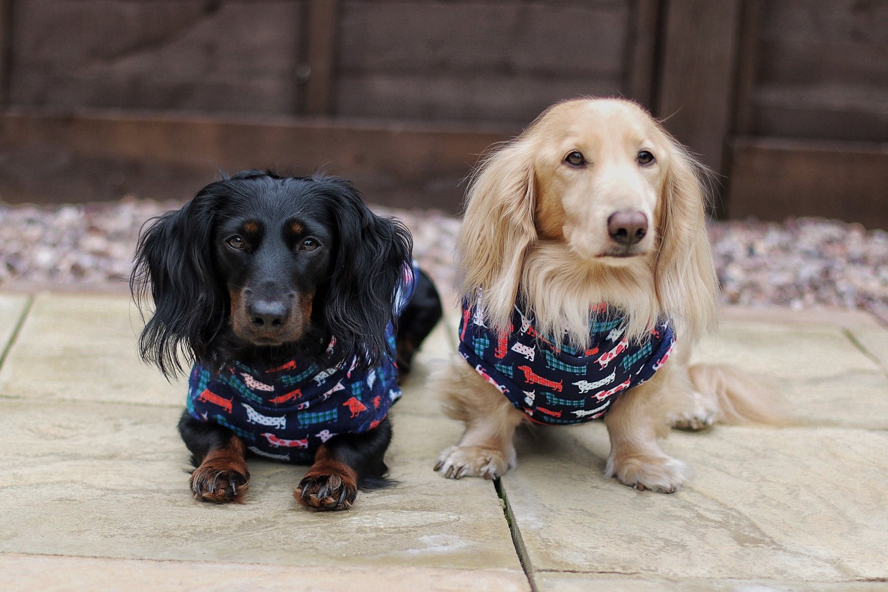 Hugo and Ted Print Waterproof Rainfleece Dog Coats – Made to Measure - Hugo and Ted
