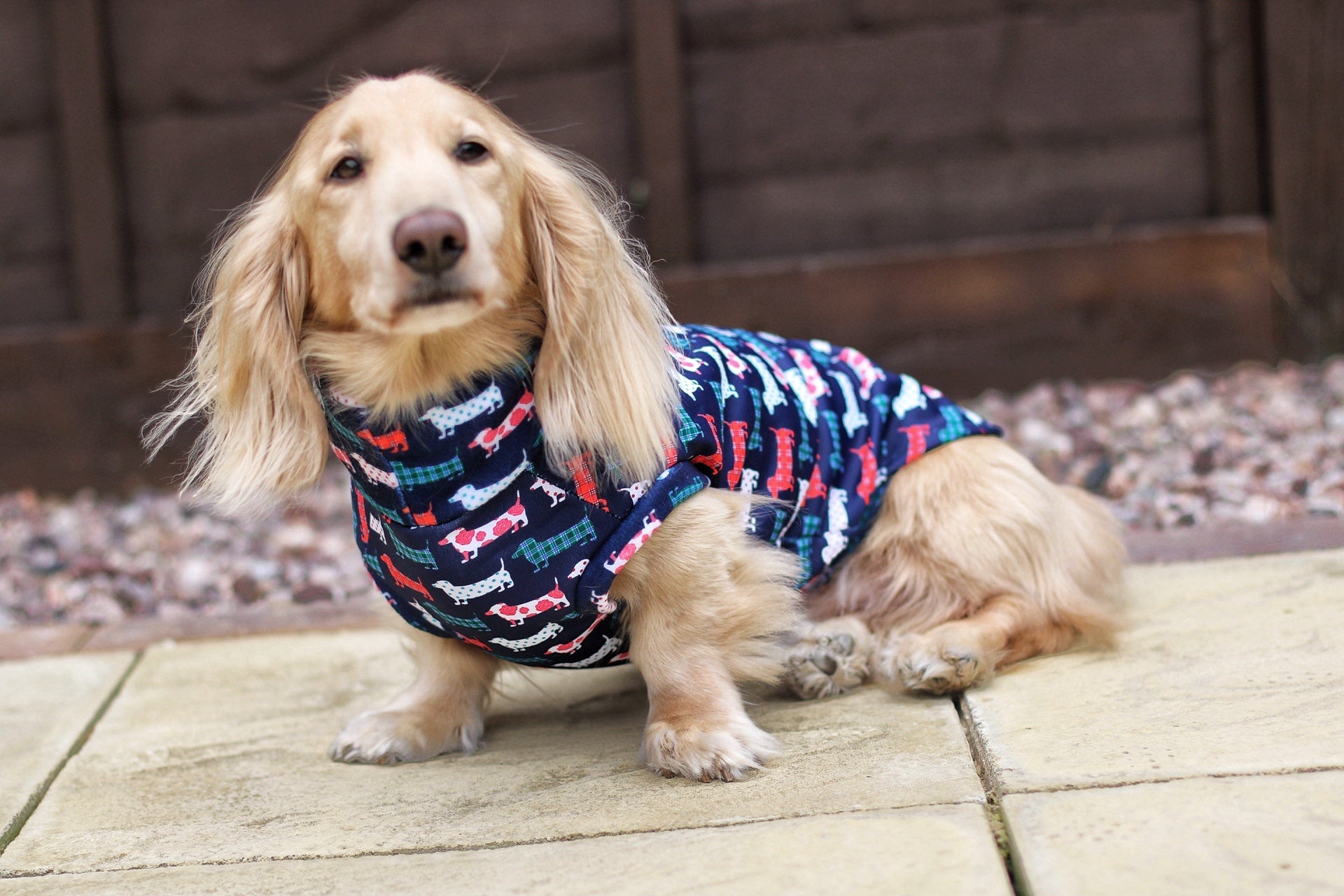 Hugo and Ted Print Waterproof Rainfleece Dog Coats – Made to Measure - Hugo and Ted