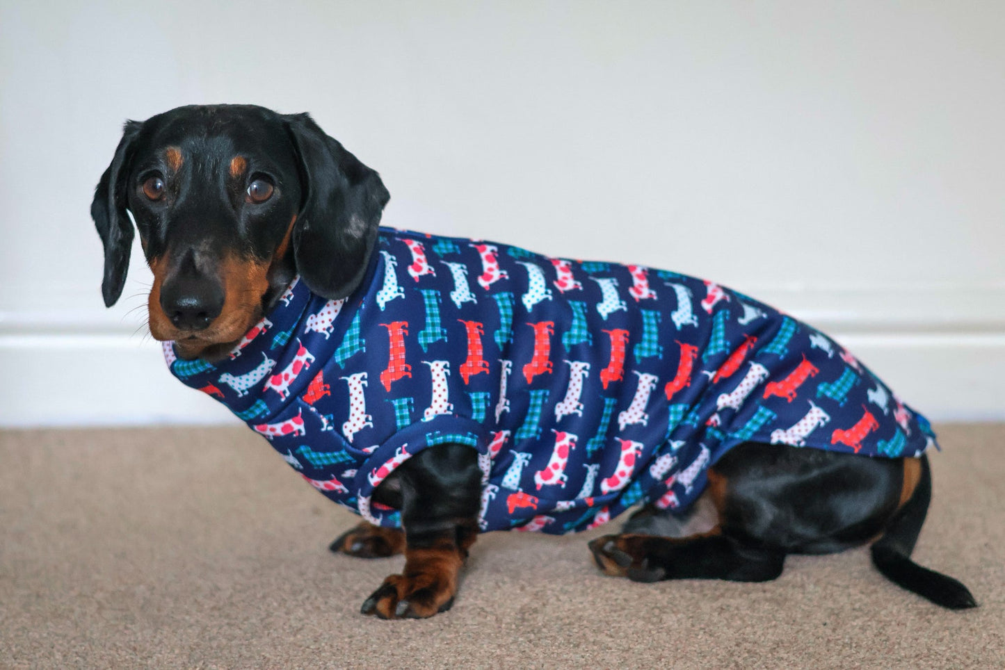 Hugo and Ted Print Waterproof Rainfleece Dog Coats – Made to Measure - Hugo and Ted