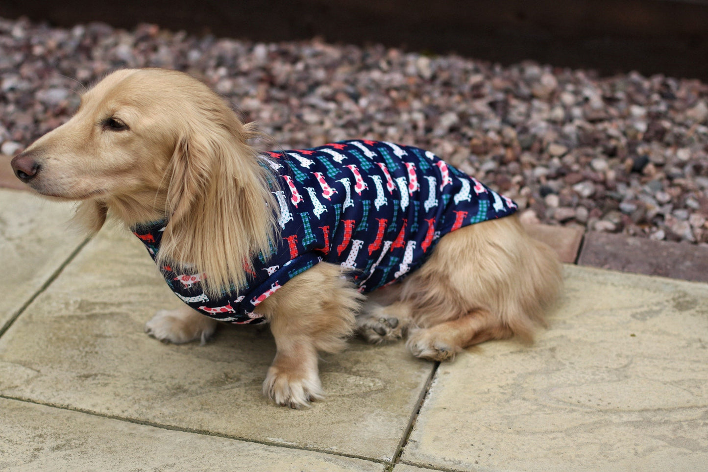 Hugo and Ted Print Waterproof Rainfleece Dog Coats – Made to Measure - Hugo and Ted