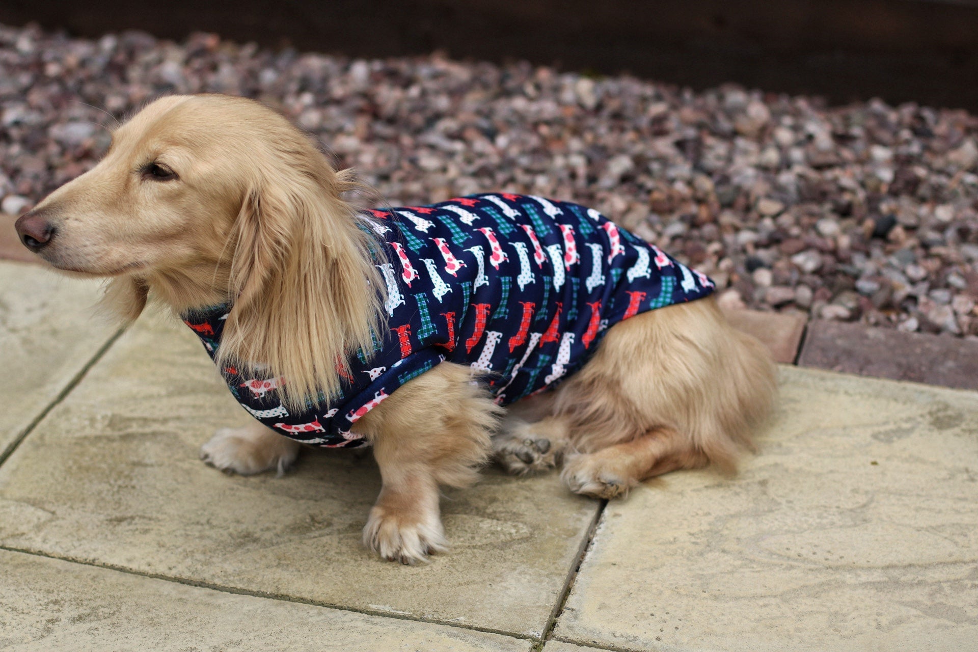 Hugo and Ted Print Waterproof Rainfleece Dog Coats – Made to Measure - Hugo and Ted