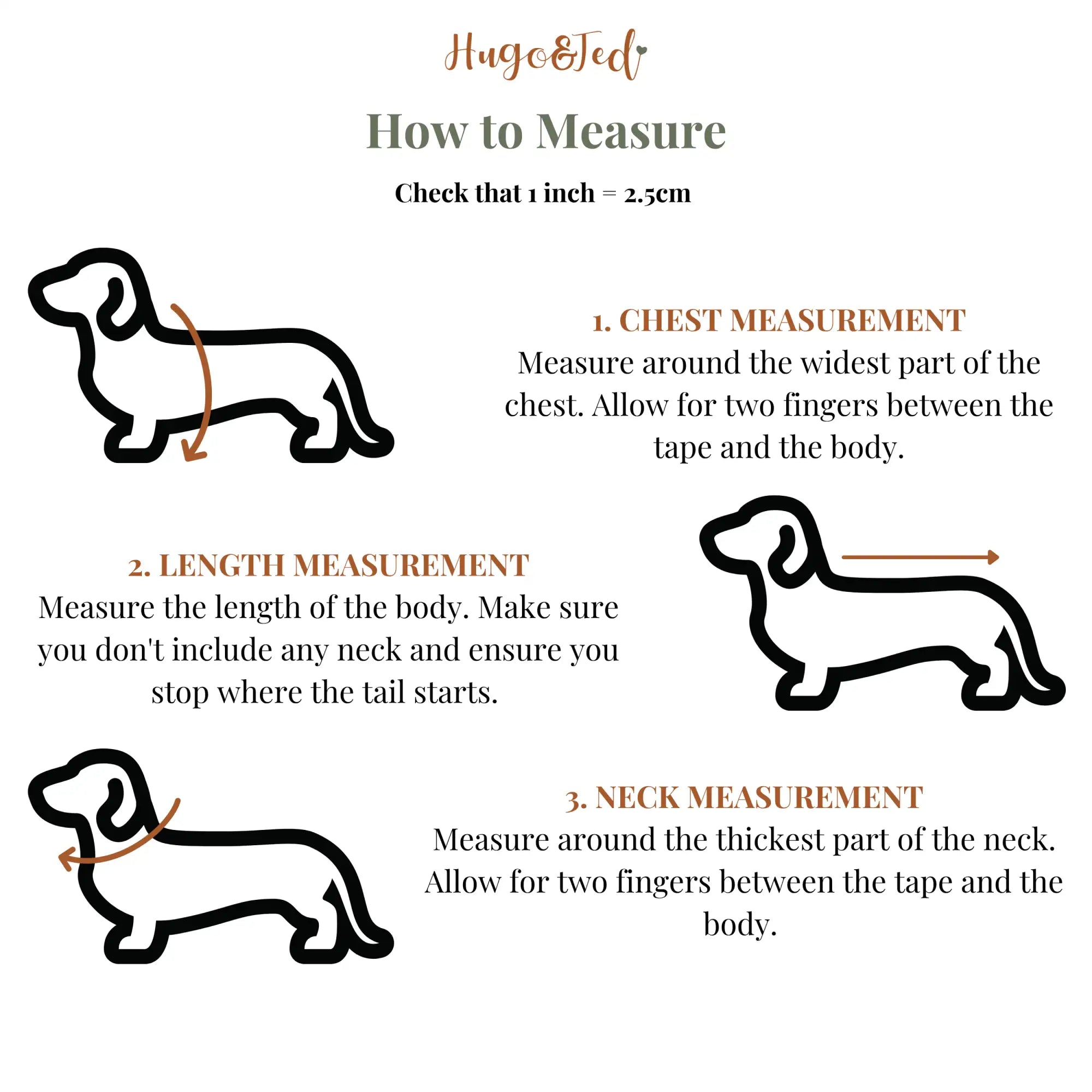 Hugo & ted brand illustrated guide for measuring a dachshund garment.