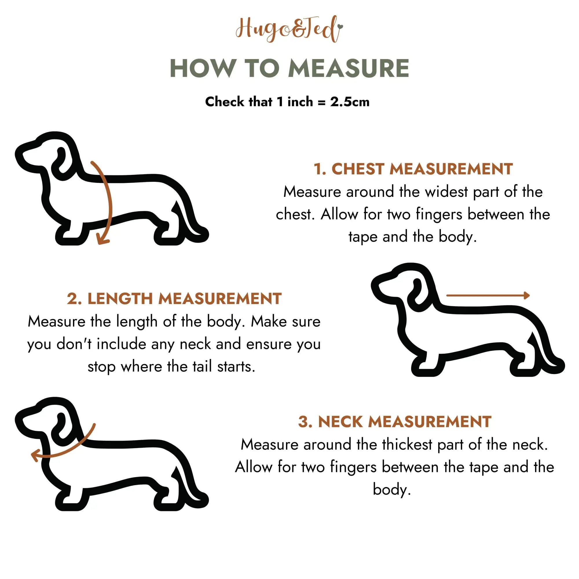 Hugo & ted brand illustrated guide for measuring a dachshund’s chest, length, and neck.