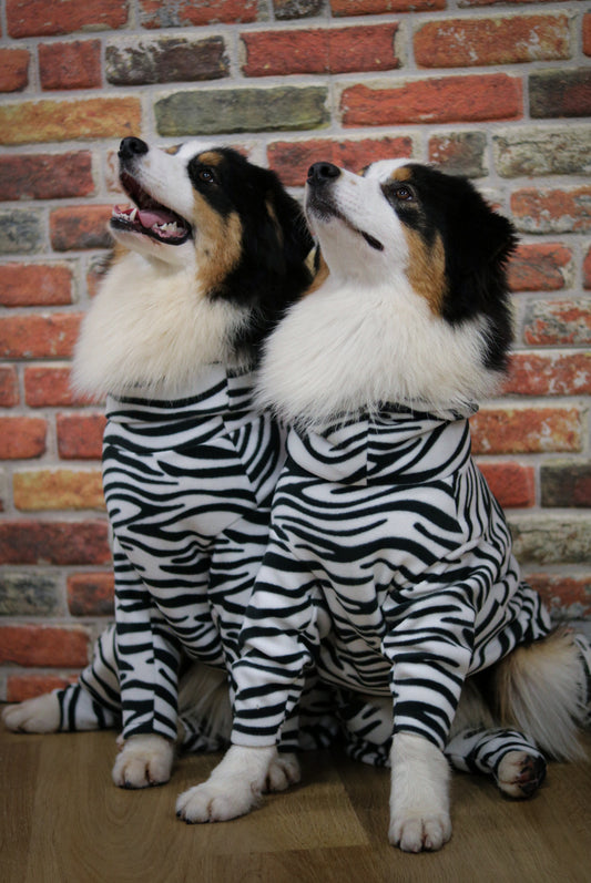 Fleece Dog Jumpsuit - Four Leg Coverage, Made to Measure
