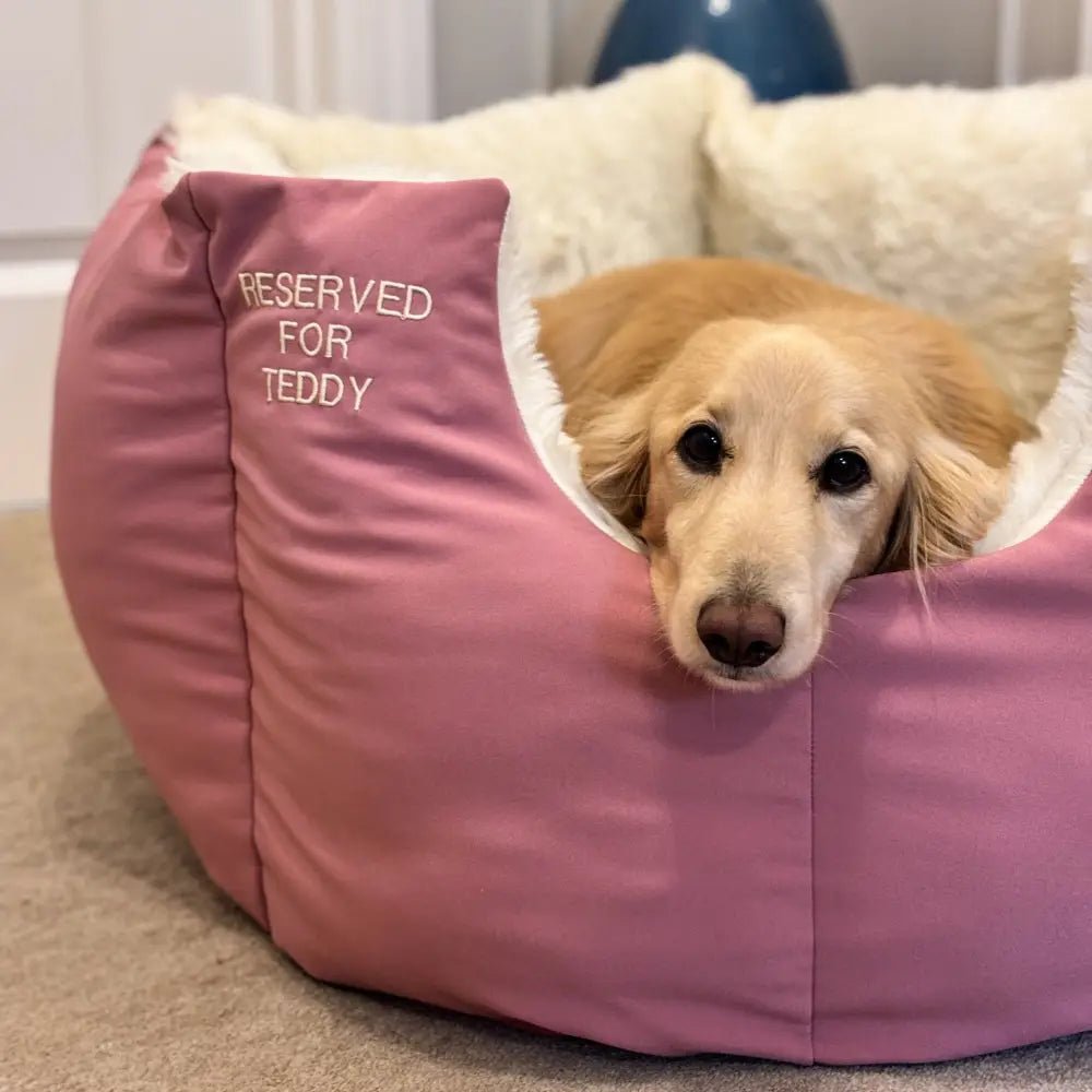 Large Personalised Waterproof Rainfleece Fortress Dog Bed - Removable Covers, Machine Washable - Hugo and Ted