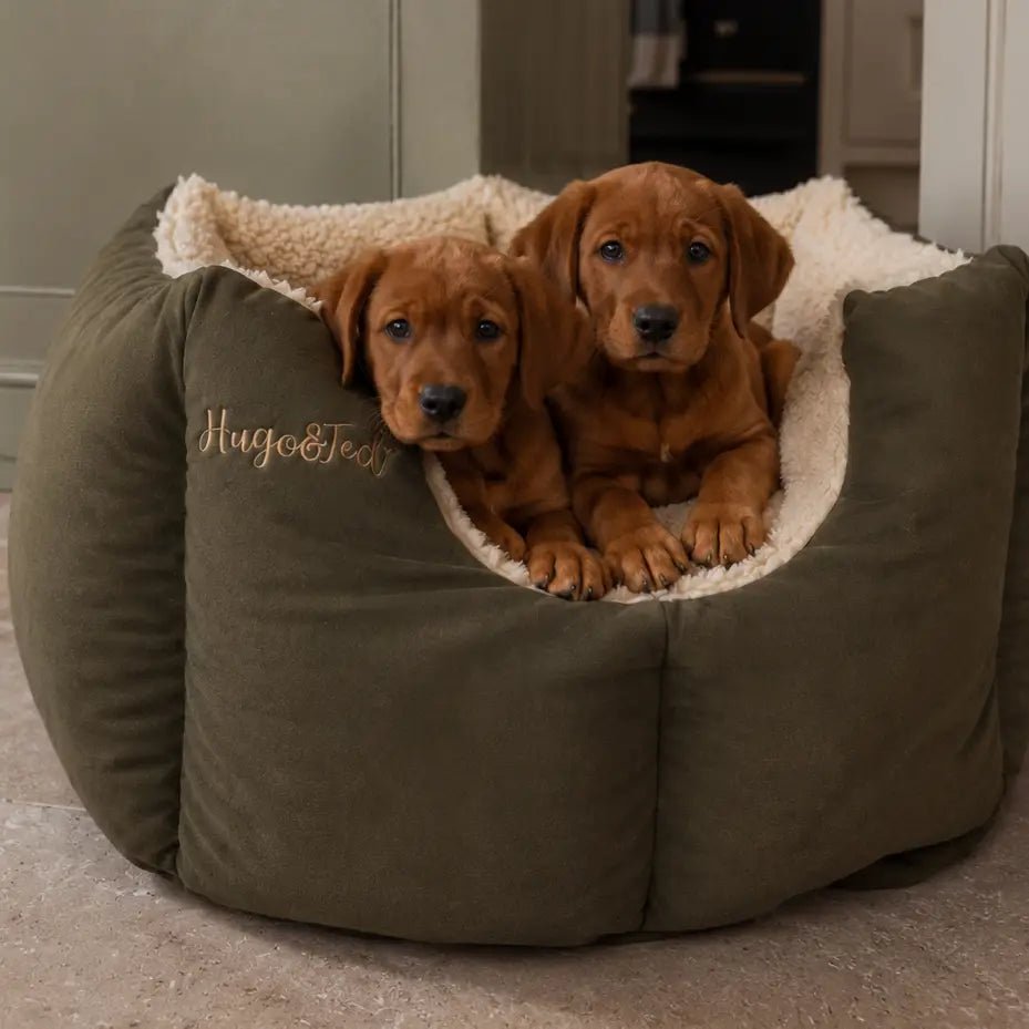 Large Waterproof Rainfleece Fortress Dog Bed - Ready to Ship - Hugo and Ted