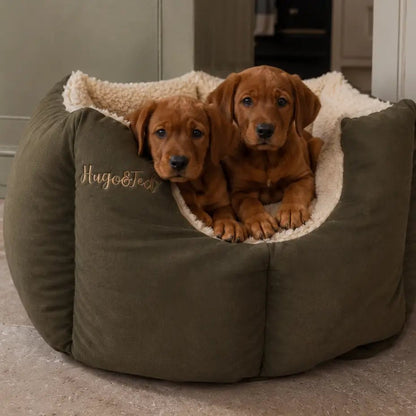 Large Waterproof Rainfleece Fortress Dog Bed - Ready to Ship - Hugo and Ted