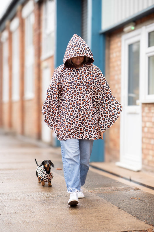 Woman in a leopard print rain poncho with the hood up, walking a dachshund