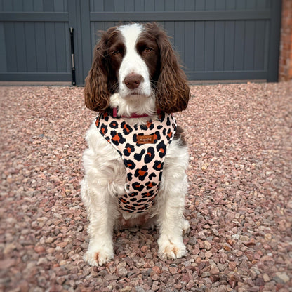 Lenny Leopard Print Harness - Hugo and Ted