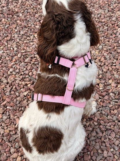 Lenny Leopard Print Harness - Hugo and Ted