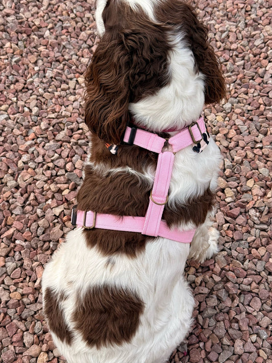 Lenny Leopard Print Harness - Hugo and Ted