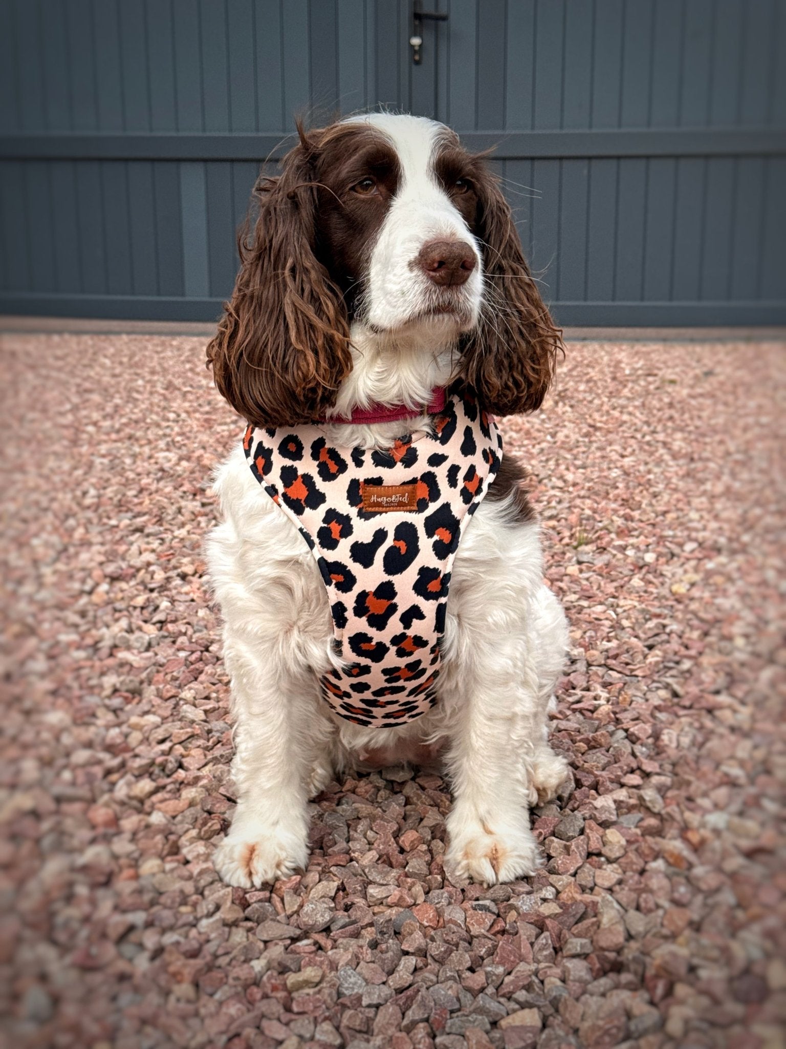 Lenny Leopard Print Harness - Hugo and Ted