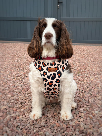 Lenny Leopard Print Harness - Hugo and Ted