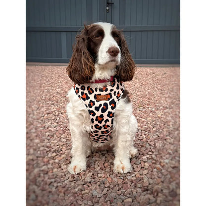 Lenny Leopard Print Harness - Hugo and Ted