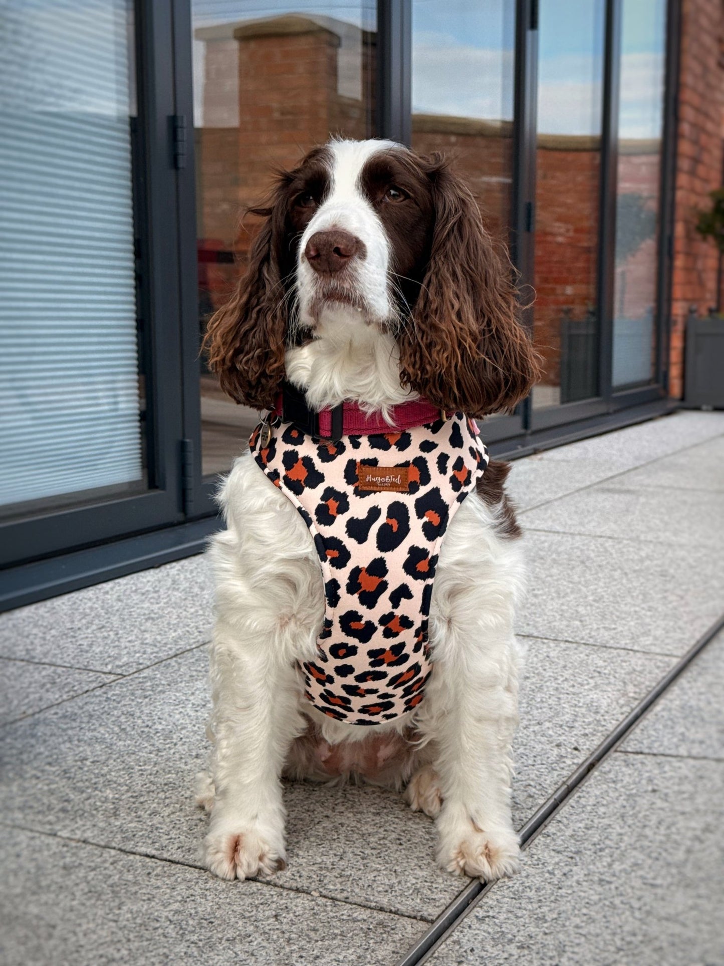Lenny Leopard Print Harness - Hugo and Ted