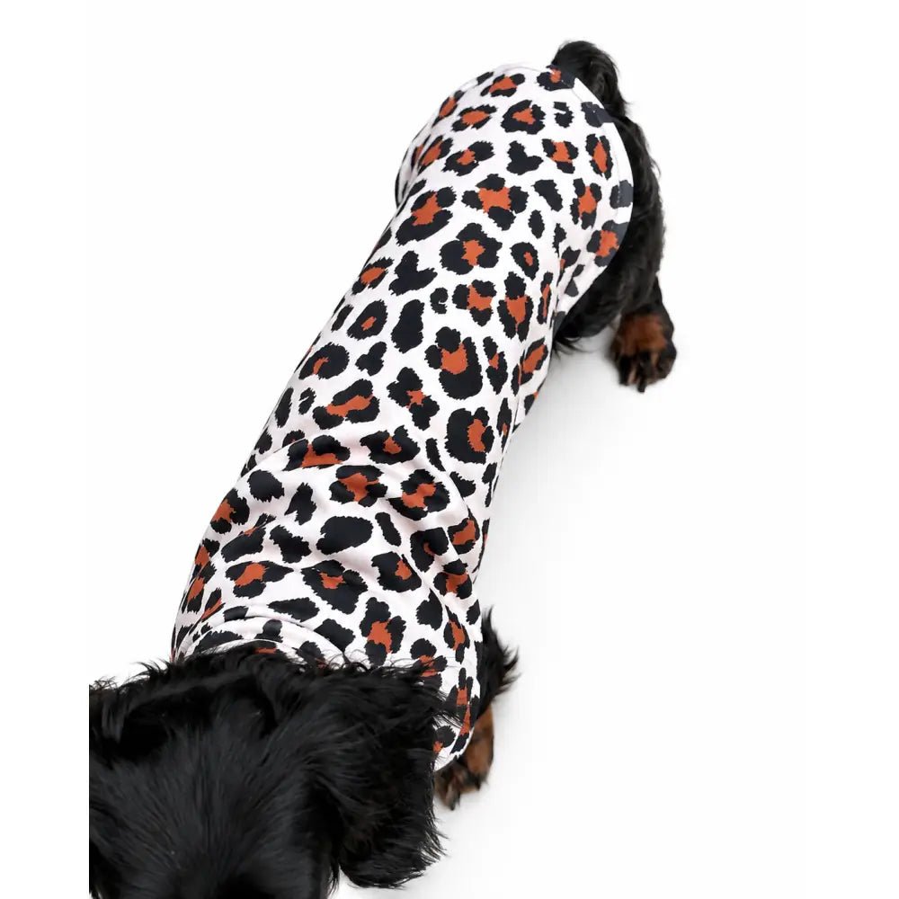 Lenny Leopard Print Rainfleece Dog Coat - Made to Measure - Hugo and Ted