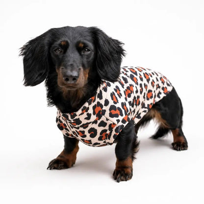 Lenny Leopard Print Rainfleece Dog Coat - Made to Measure - Hugo and Ted