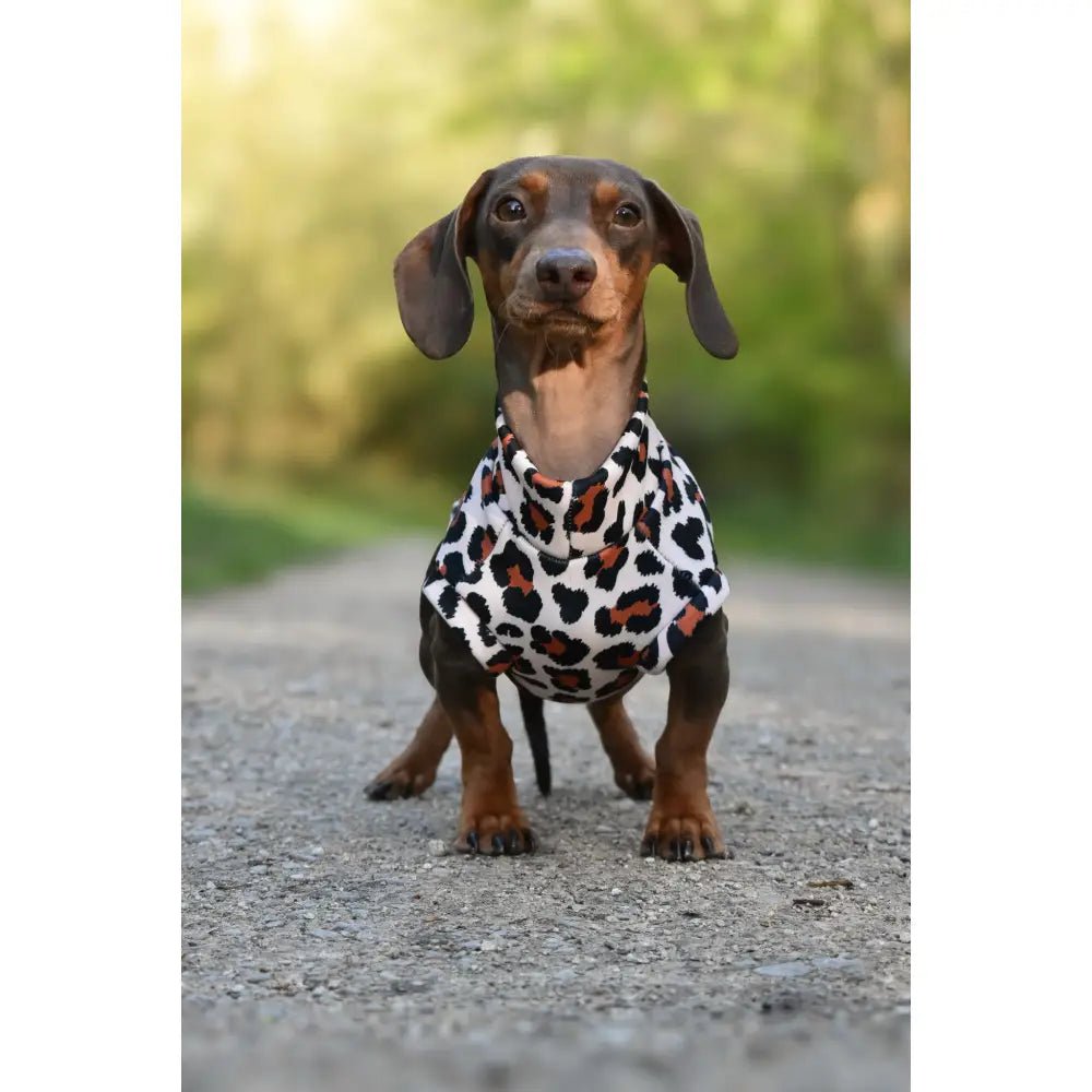 Lenny Leopard Print Rainfleece Dog Coat - Made to Measure - Hugo and Ted