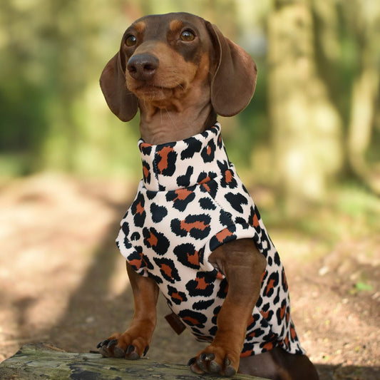 Lenny Leopard Print Rainfleece Dog Coat - Made to Measure - Hugo and Ted